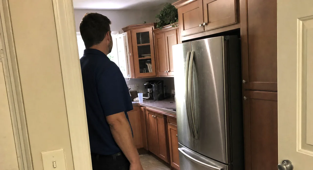 Upper half of an arrival - glass-front upper cabinets, a trailing plant and the top of the refrigerator